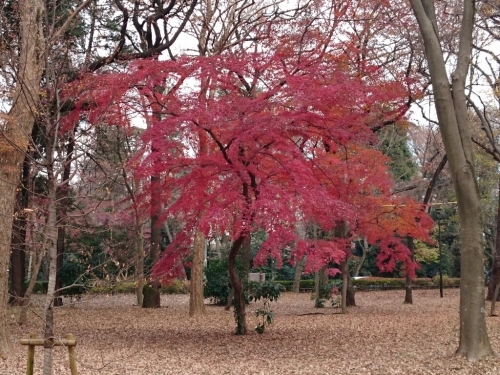 e0212073_09361164.jpg