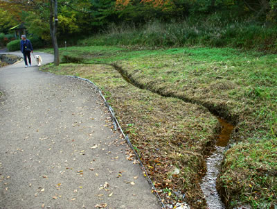 b0123486_1093068.jpg