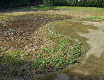b0123486_7334824.jpg