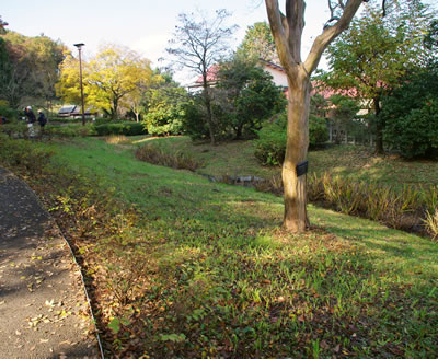 b0123486_7464871.jpg