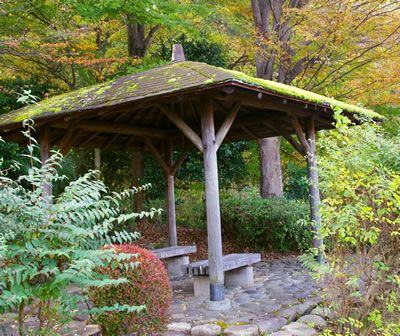 b0123486_7512176.jpg
