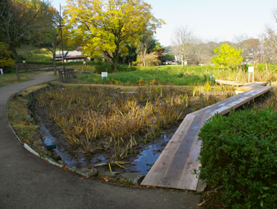b0123486_8292939.jpg