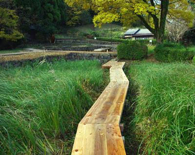 b0123486_846841.jpg