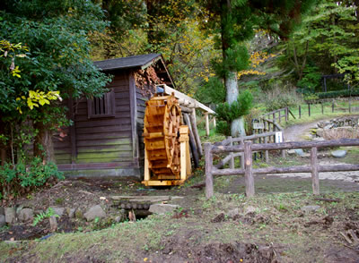 b0123486_9372791.jpg
