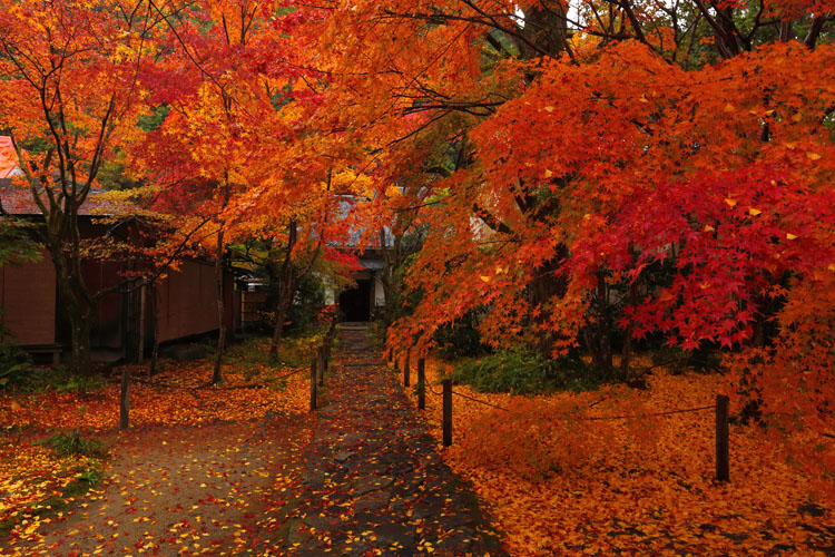蓮華寺_e0051888_0401835.jpg