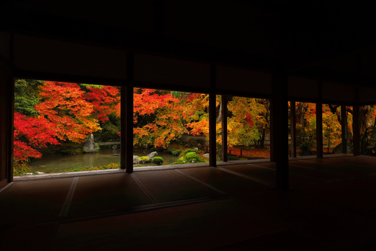 蓮華寺_e0051888_040484.jpg