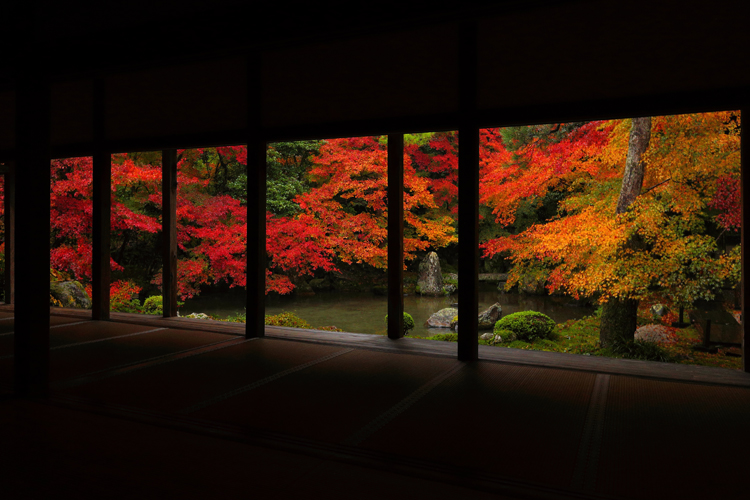 蓮華寺_e0051888_041324.jpg