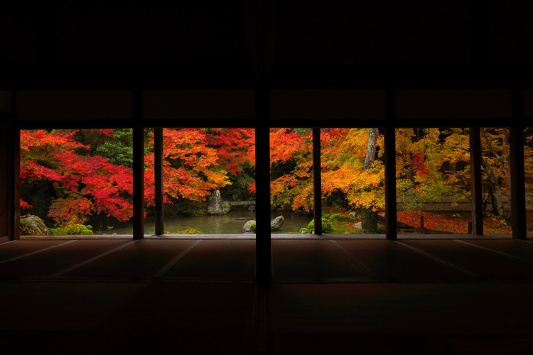 蓮華寺_e0051888_041345.jpg