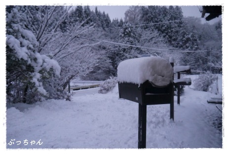 ゆき、ゆき、雪_f0353990_12422483.jpg