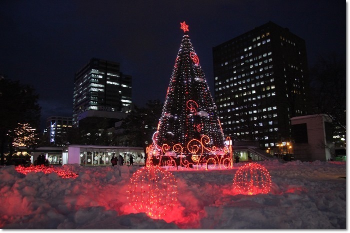 ミュンヘンクリスマス市とさっぽろホワイトイルミネーション_f0146493_23263722.jpg