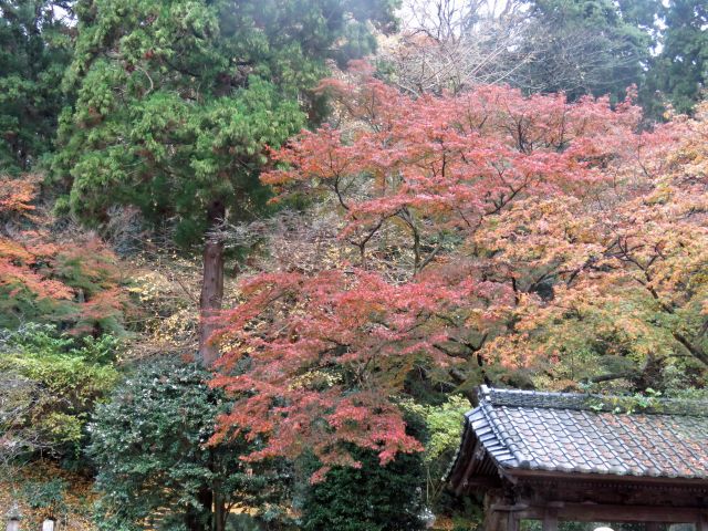12月１４日鎌倉に行きました。_d0149600_10145036.jpg