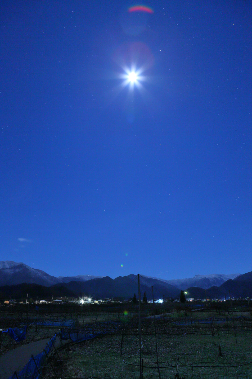 a0155104_02554189.jpg