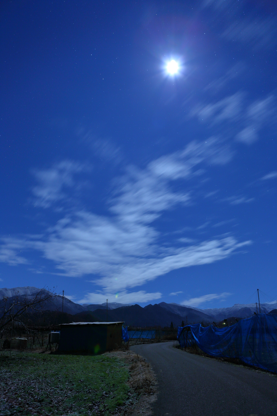 a0155104_02561392.jpg