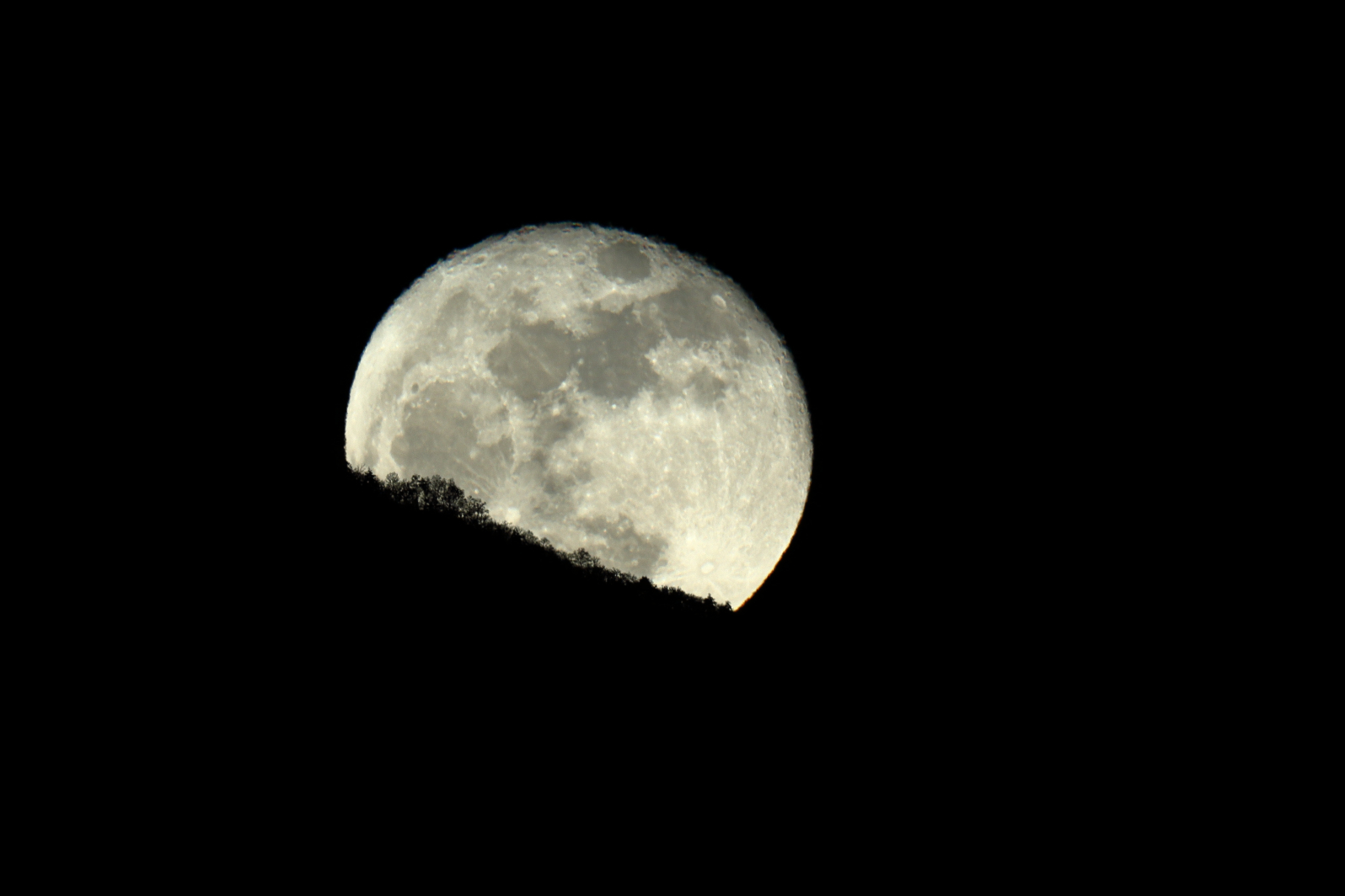 a0155104_02562405.jpg