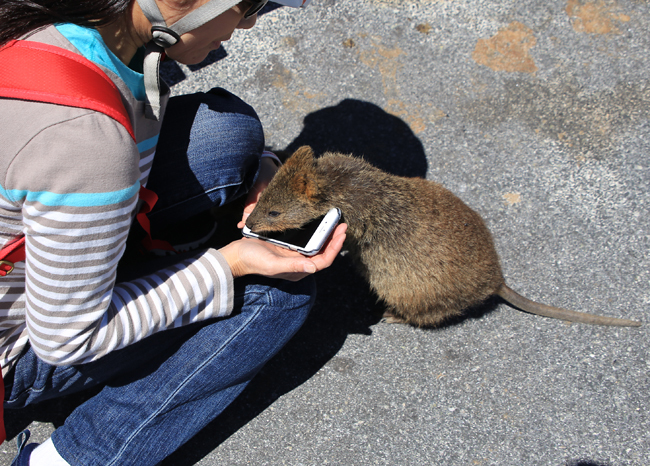 Rottnest Island_f0179404_07501103.jpg