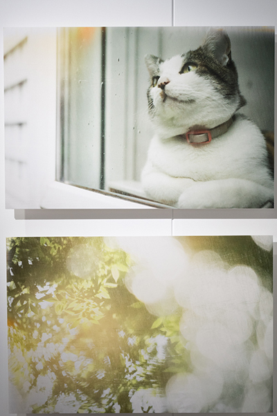 鈴木知子さんの写真展「365days」を見に BUKATSUDO へ。。。_d0154507_09134516.jpg