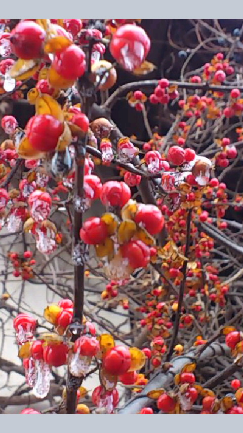 b0028109_2118523.jpg