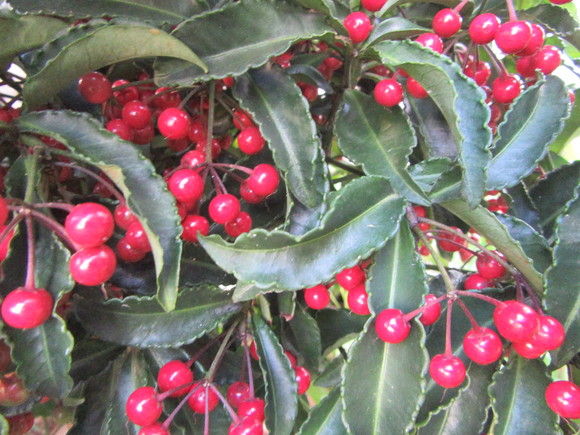 f0231709_1353048.jpg
