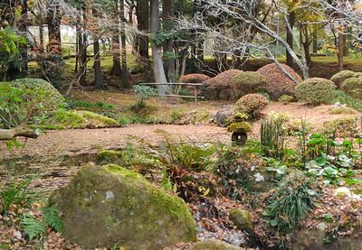 冬枯れの加満田庭園もまた良し_e0234016_17204287.jpg