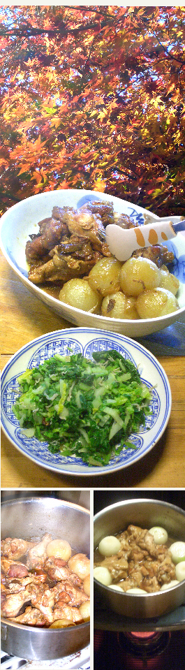 d0043225_19594639.jpg