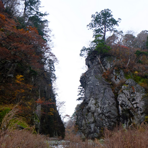 「鳥取・大山町　阿弥陀堂、妖怪ウォッチ、大山寺・大神山神社トレッキング」_a0000029_20344168.jpg