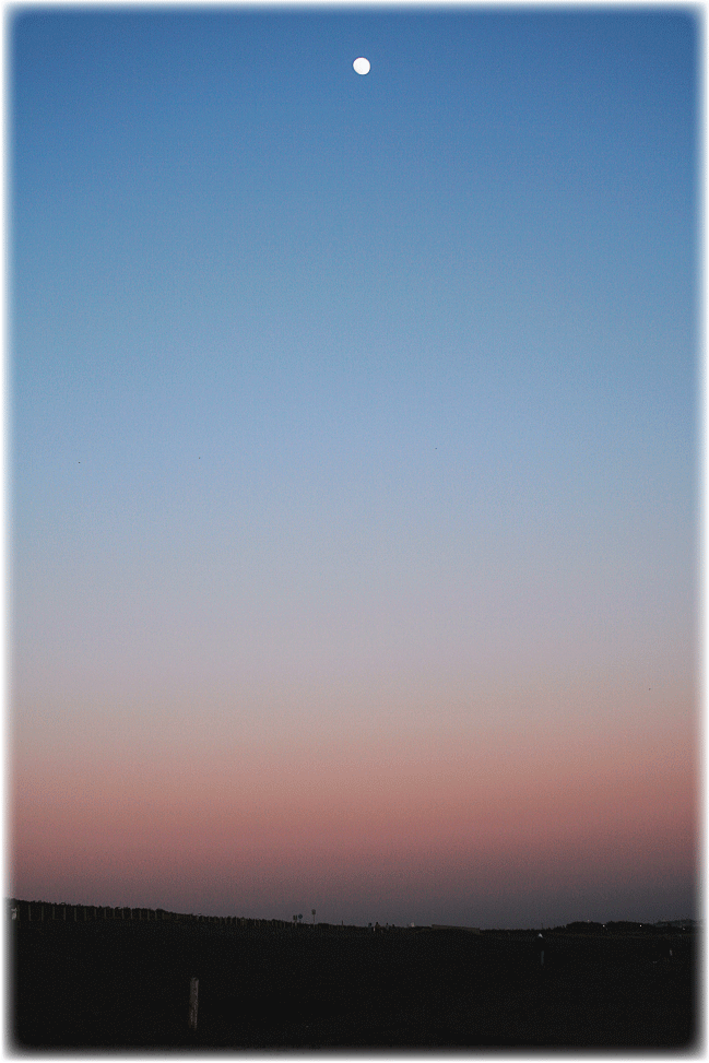 c0107829_12013366.gif