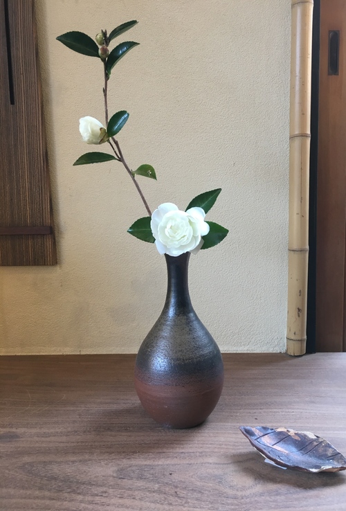 山茶花_a0197730_014148.jpg