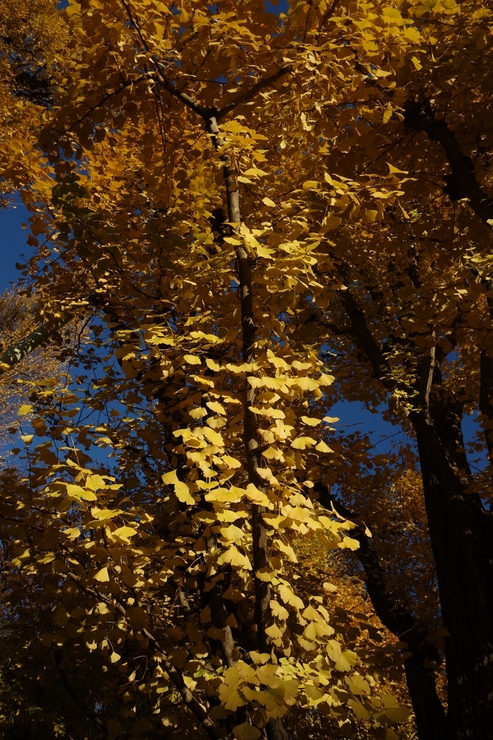 a0287336_20403061.jpg