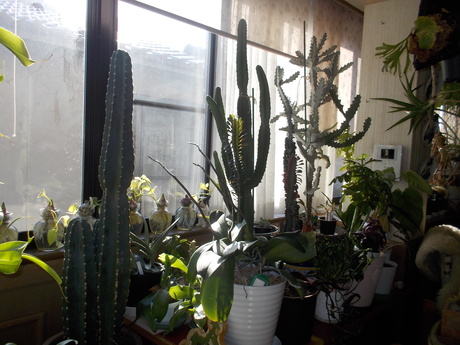 f0113136_21585655.jpg
