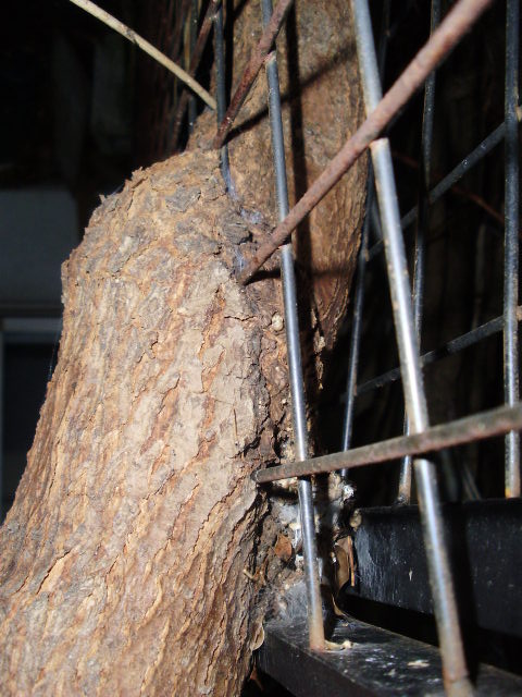 e0060041_16501625.jpg