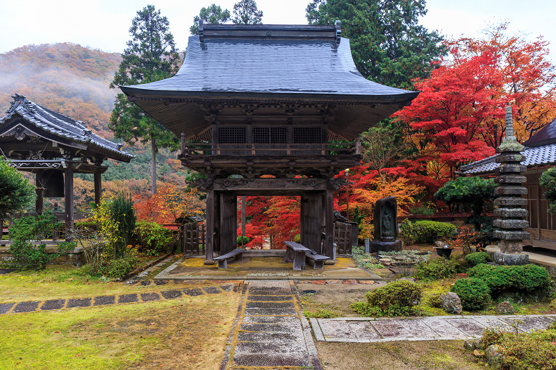 京都の紅葉2016 散り錦に彩られる玉雲寺（写真部門）_f0155048_22203617.jpg