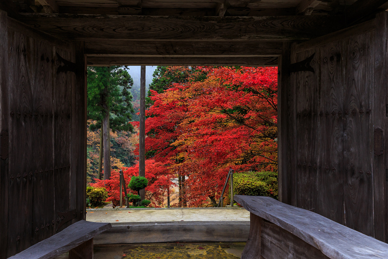 京都の紅葉2016 散り錦に彩られる玉雲寺（写真部門）_f0155048_2221511.jpg