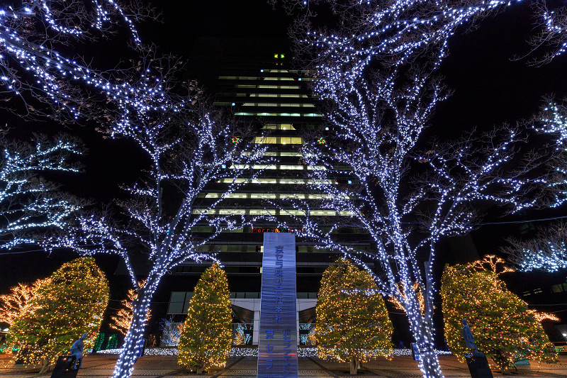 京セラ本社イルミネーション2016　「積雪の光の森」と巨大クリスマスツリー(写真部門)_f0155048_225358100.jpg