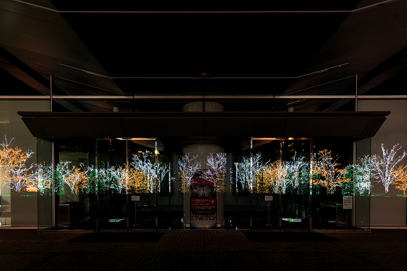 京セラ本社イルミネーション2016　「積雪の光の森」と巨大クリスマスツリー(写真部門)_f0155048_2302633.jpg