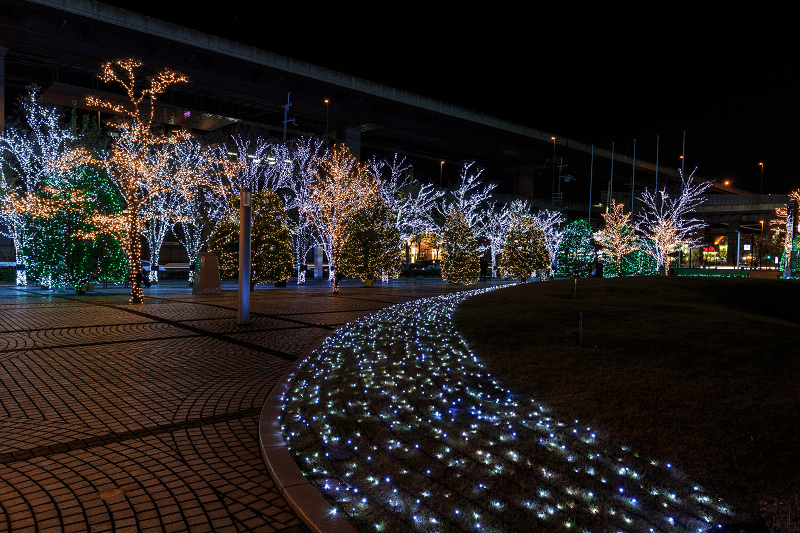 京セラ本社イルミネーション2016　「積雪の光の森」と巨大クリスマスツリー(写真部門)_f0155048_2311775.jpg