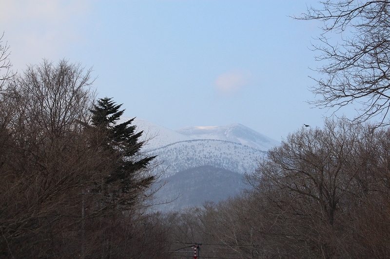 12月18日(日）雪が融けて　１_b0250154_18141209.jpg