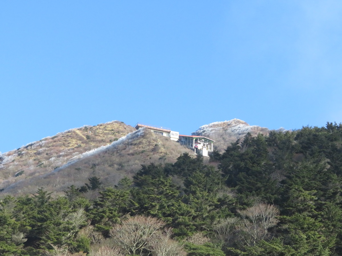 きらめくお庭山系_c0042869_748598.jpg