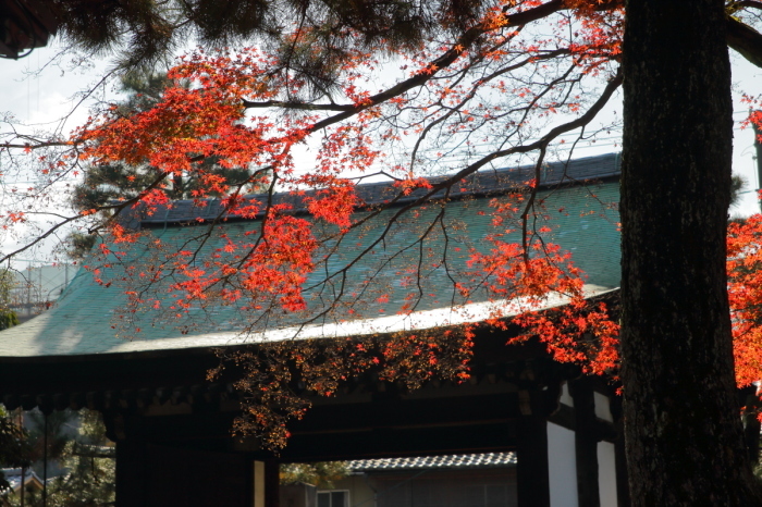  紅葉　建仁寺　2016　_f0021869_22555657.jpg