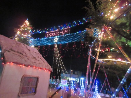 e0240973_2274696.jpg