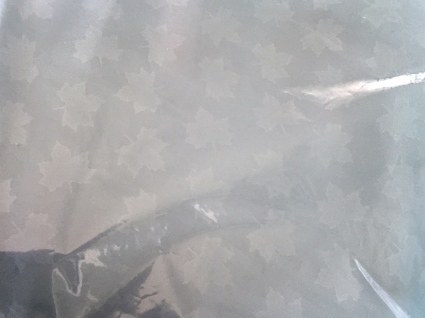 b0197576_23181419.jpg