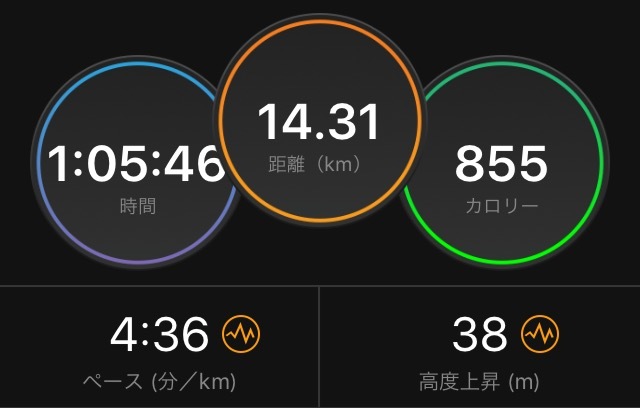 足立フレンドリーマラソンはDNS_f0310282_22220666.png