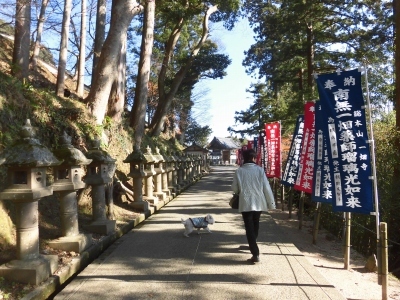 風ちゃの命日_b0231886_14231024.jpg