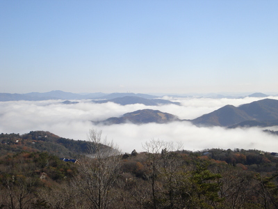 a0206695_1211295.jpg