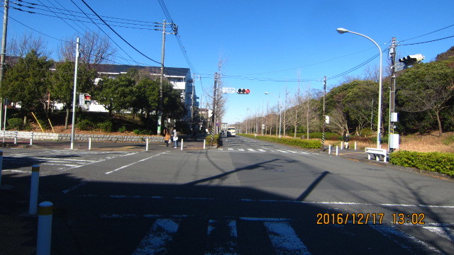 c0133096_21020221.jpg