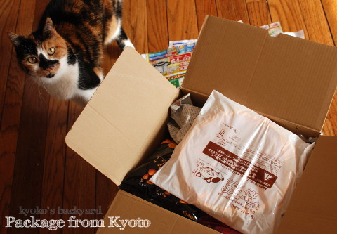 お正月(と猫)がテーマの京都便♪_b0253205_05234463.jpg