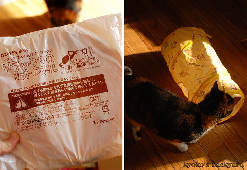 お正月(と猫)がテーマの京都便♪_b0253205_05240150.jpg