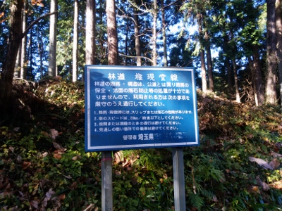 b0040606_2093765.jpg