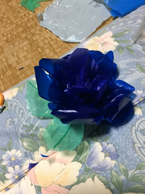 c0180209_22050557.jpg