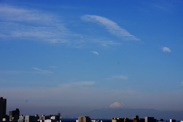 b0268615_7243587.jpg