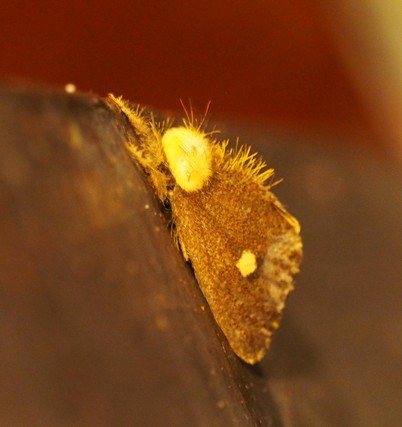 c0369423_16472595.jpg